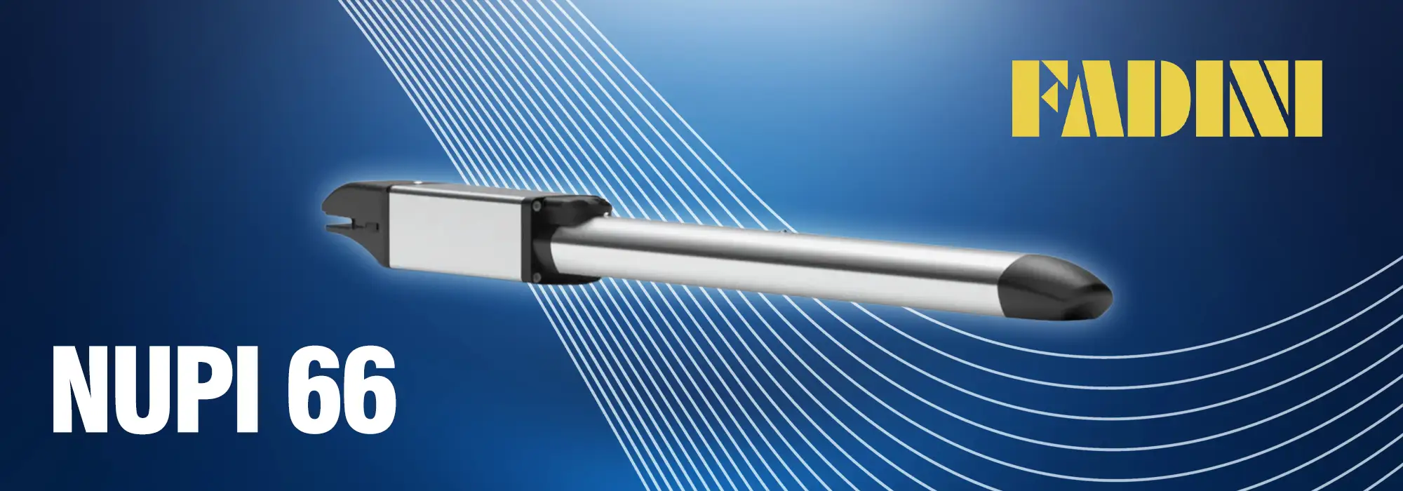 fadini nupi 66